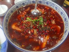 -邵年鸽(杨庄店)