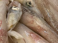 -鑫龙火锅城(青岛分店)