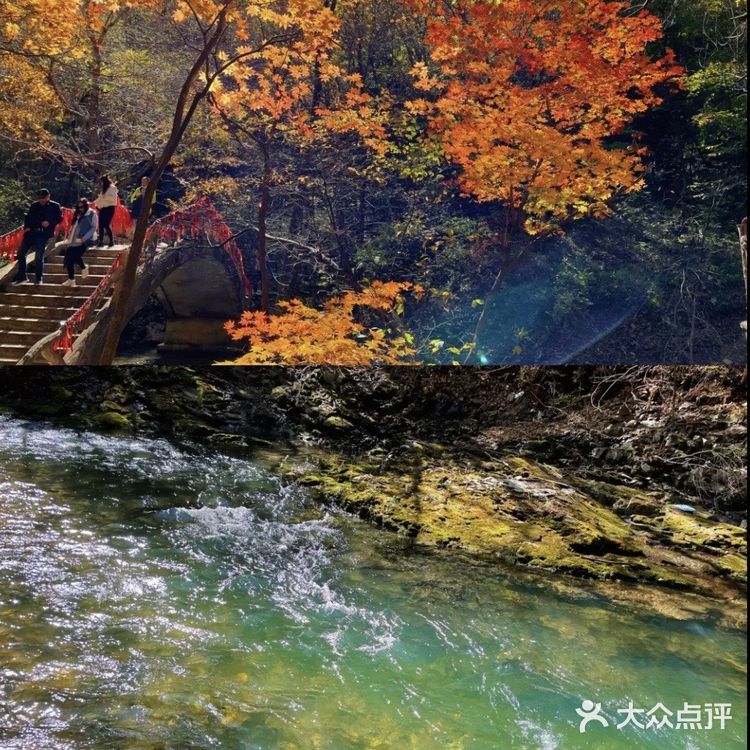 本溪枫叶红了🍁秋季关门山只为这一抹红