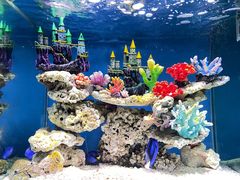 -上海海昌海洋公园