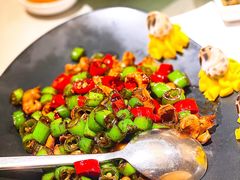 双椒炒花螺-荟廷·晶萃(陆家嘴尚悦湾店)