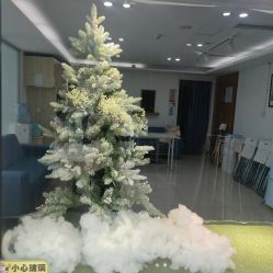 -艾薇芭蕾艺术中心