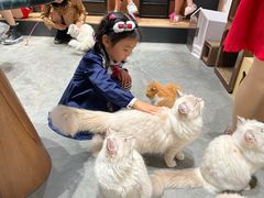 -瞄一喵猫咖(格力海岸店)