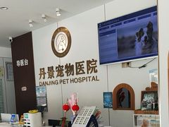 -丹景宠物医院·全科·老年病·牙科(武昌诊疗中心)