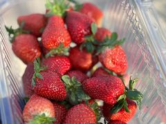 -新塘水果乐园(东洲大道店)