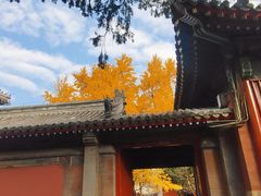 -承恩寺