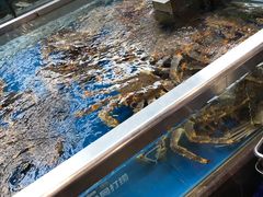 -盒马鲜生(大成店)