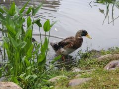 -惠州西湖风景名胜区-丰渚园