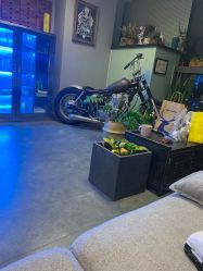 -極致刺青TATTOO STUDIO 私人订制
