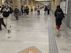 -呼家楼(地铁站)