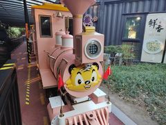 -黄海国家森林公园