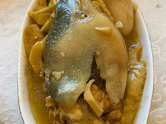 -孔庆璞河豚馆(白玉兰酒店)