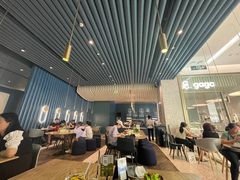 -gaga(金光华店)