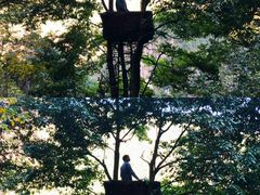 -楠溪江风景名胜区