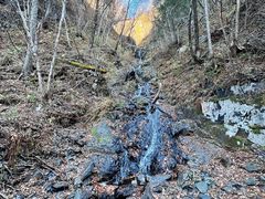 -凤凰山国家森林公园