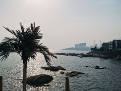 -Vanillacafe香草咖啡(银海大世界店)