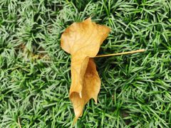 -常州古运河南大街文化旅游区-人民公园