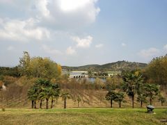 -南京银杏湖乐园