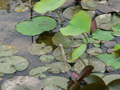 -马家湾湿地公园