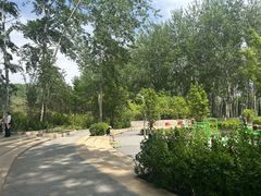 -仁和公园(顺义区)