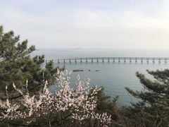 -星海湾跨海大桥