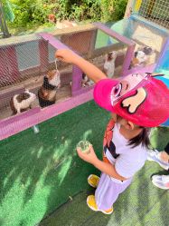 -萌宠亲子动物乐园(槐房万达店)