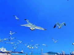 -海驴岛(荣成市)