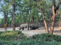 -北京野生动物园