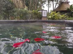 -海兰云天度假区温泉