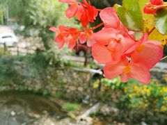 -北京水岸山吧度假村(雁栖镇店)