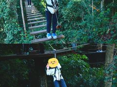 -西双版纳原始森林公园