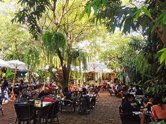 -Fern Forest Cafe