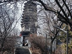 -高尔山公园