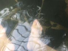 -龙达温泉生态城