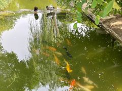 -三里河公园
