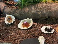 -曲廊院(东四十一条店)