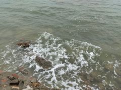 -野狸岛