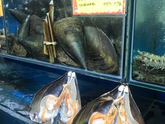 -蚝专家(北滘店)
