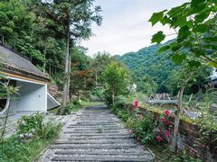 -青城山