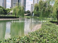 -陆家嘴中心绿地