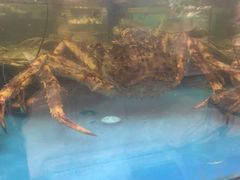 -盒马鲜生(宝地店)