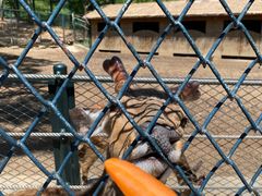 -大连森林动物园