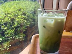 -雪绿茶博物馆