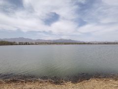 -野鸭湖国家湿地公园