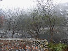 -祁门牯牛降观音堂风景区