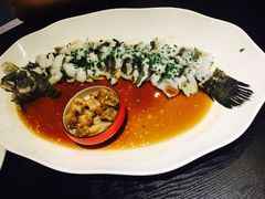 -梧桐花园餐厅(新城店)