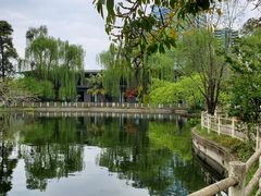 -塔子山公园