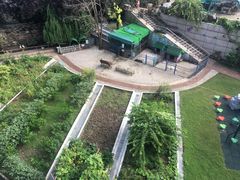 -上海佘山世茂艾美酒店