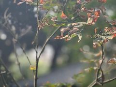 -大妙火锅·非物质文化遗产(东湖公园店)
