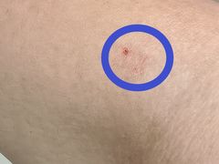 -上海中医药大学附属曙光医院(东部)